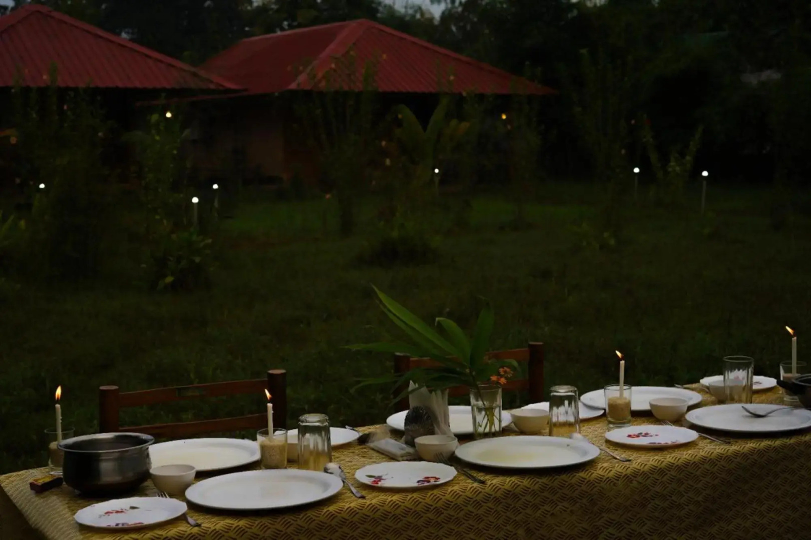 Tadoba Safari Stay Nature's Sprout