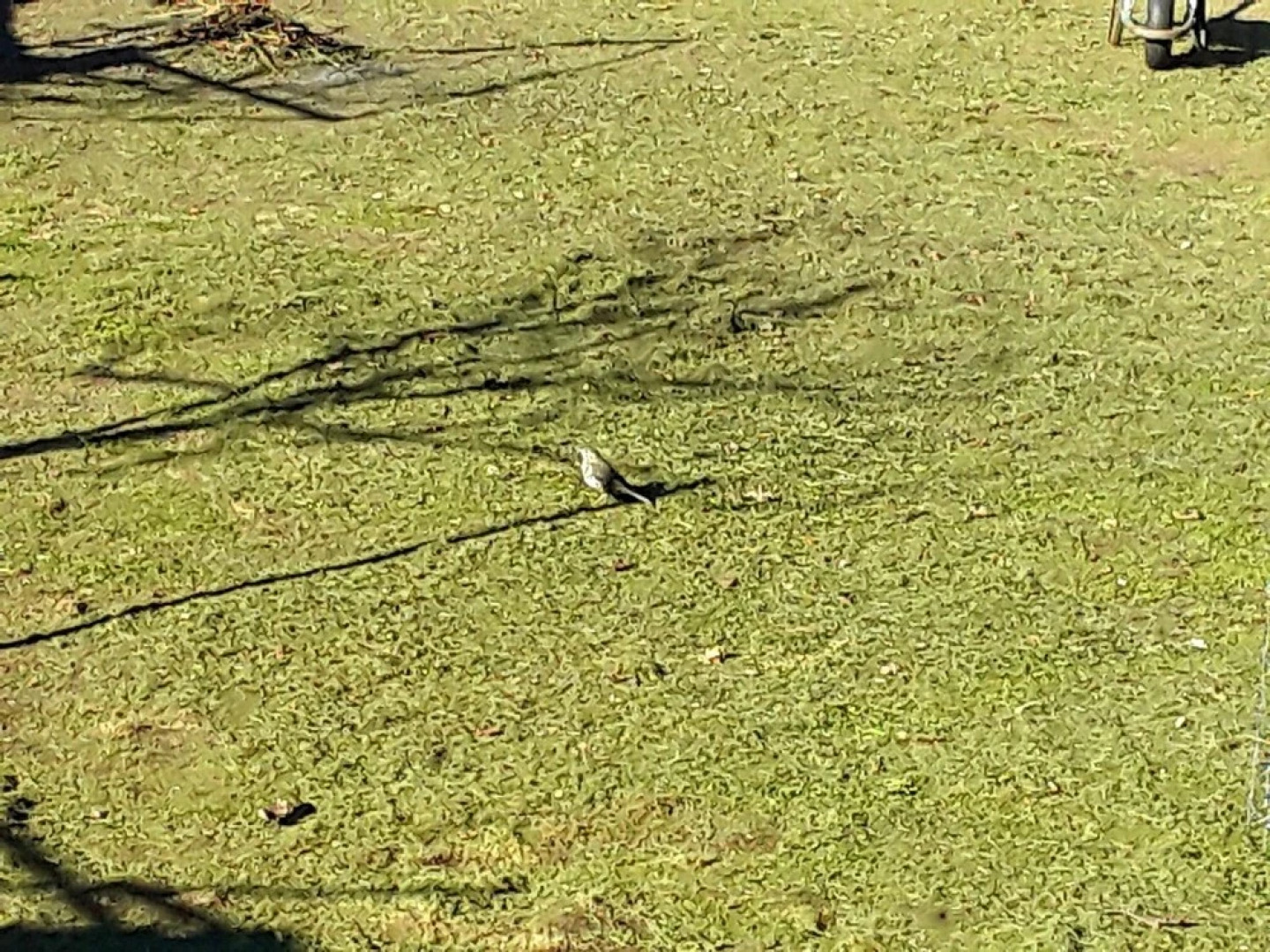 House With 3 Bedrooms in Ourense, With Wifi - 70 km From the Slopes