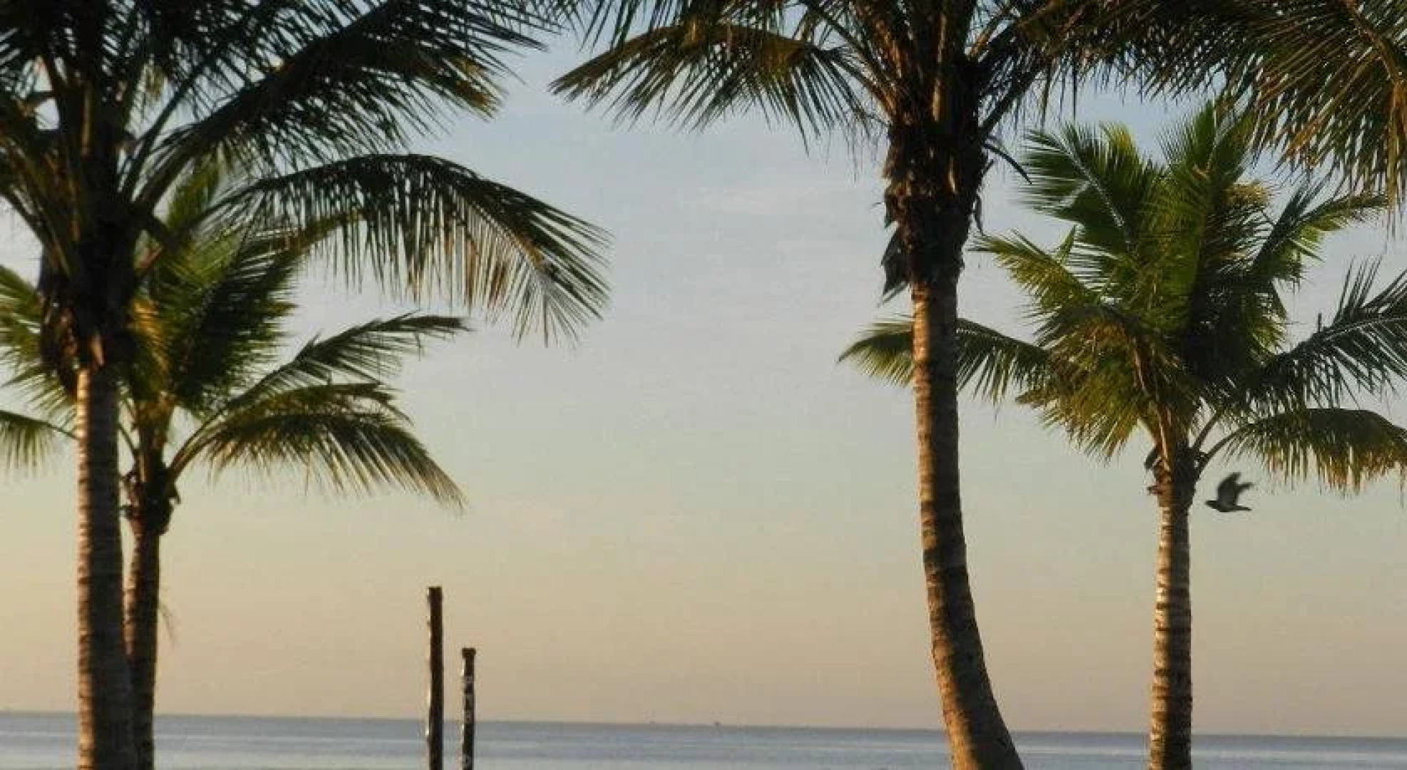 Pousada Atlantic Sun