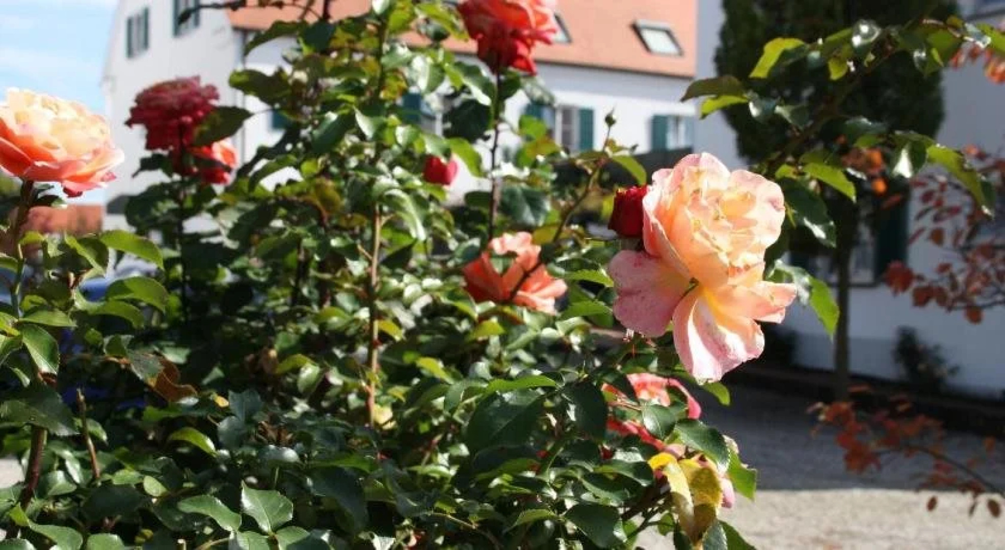Hotel Gasthaus Wangerhof