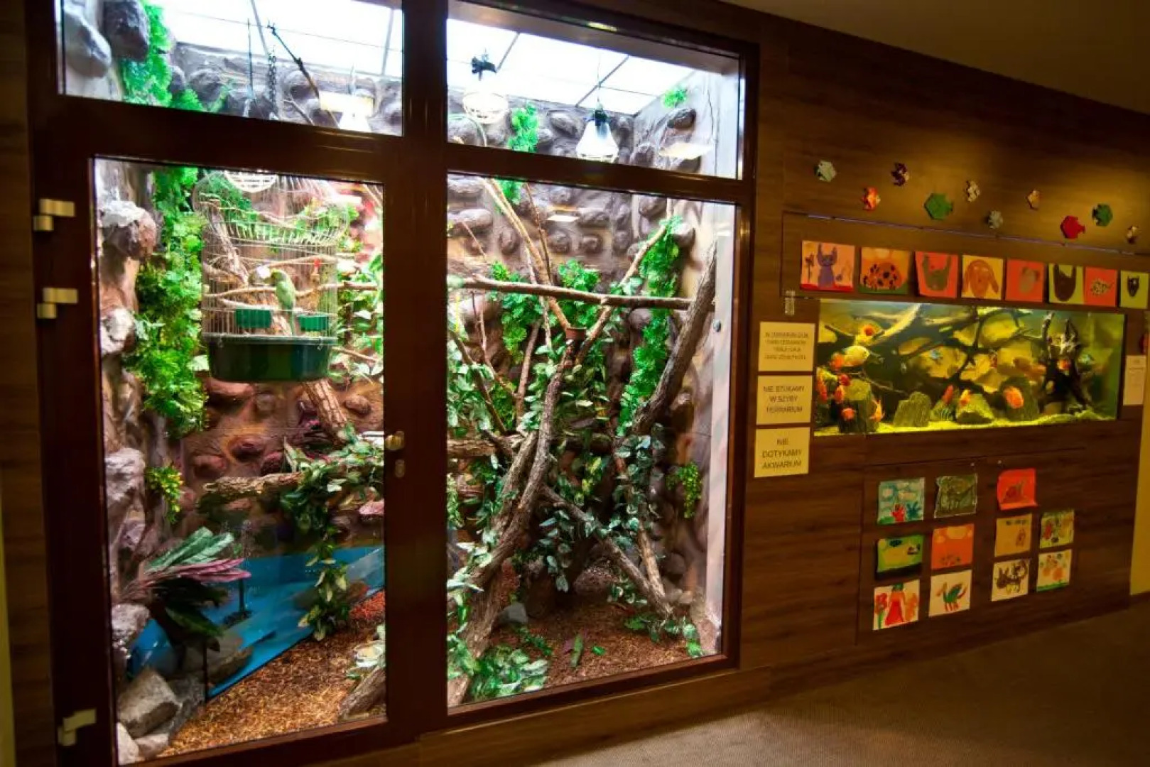 Imperiall Resort & MediSpa