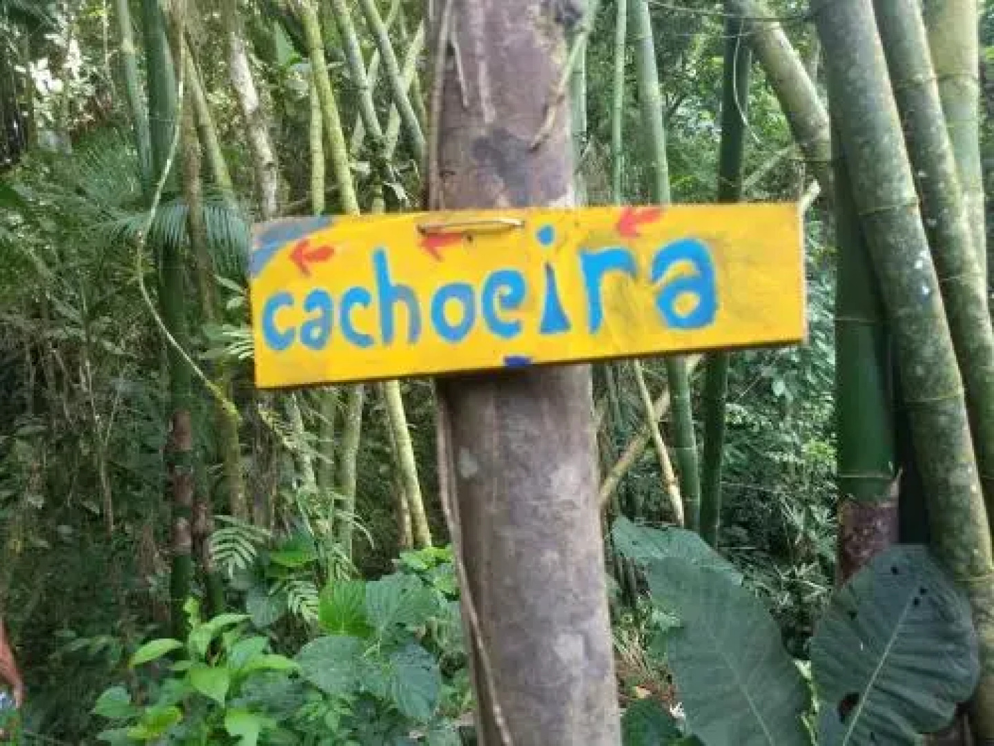 Hostel Radical Adventure