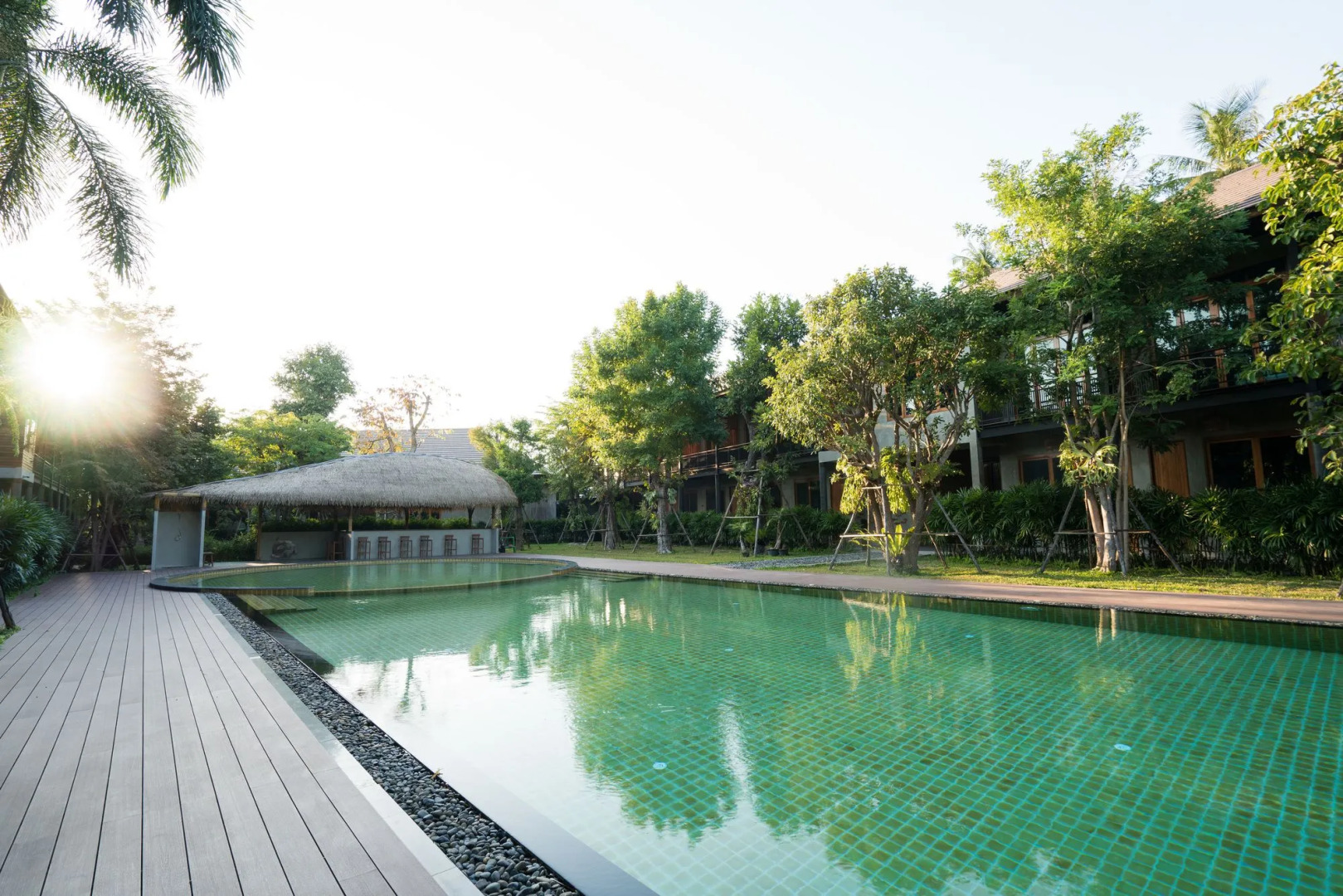 The Buffalo Amphawa (SHA Plus)