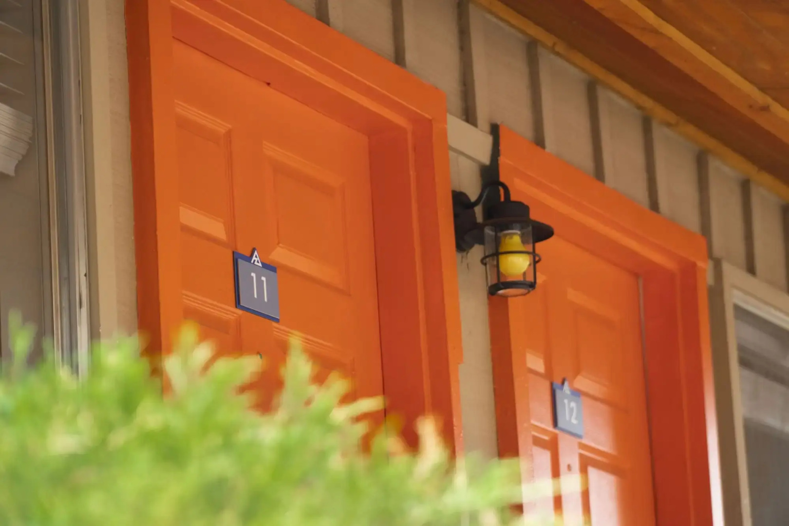 Basecamp at Snowbowl