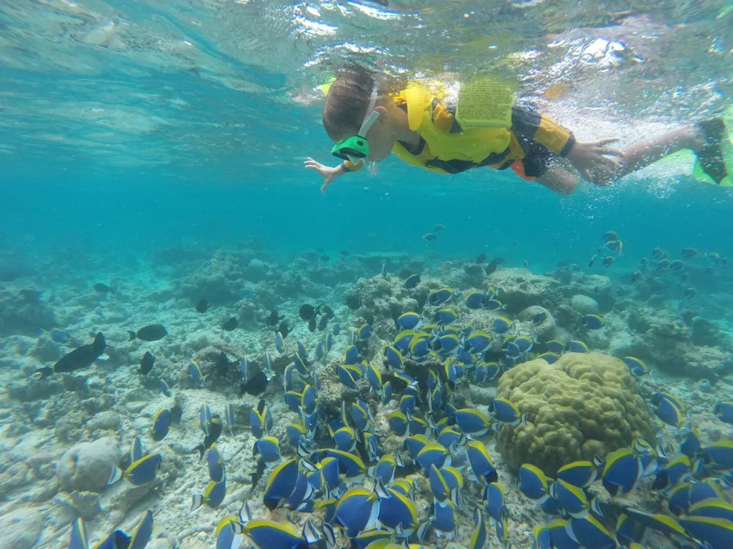 Mariana Inn Maldives