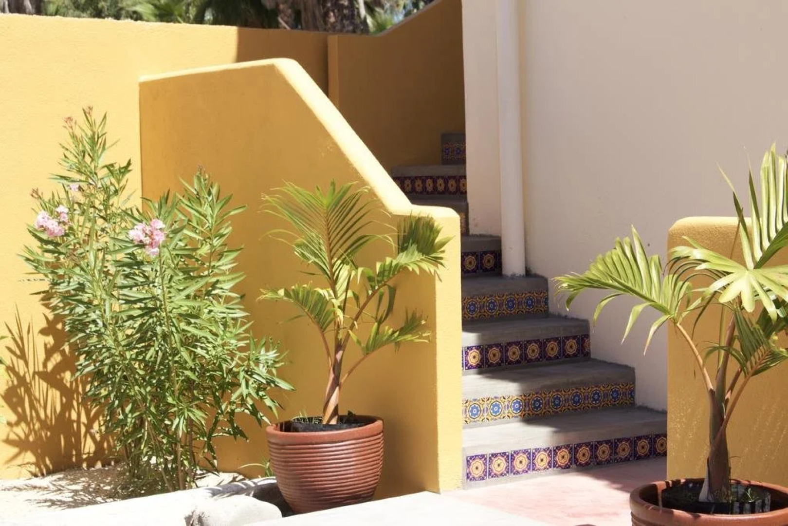 Las Palmas Tropicales