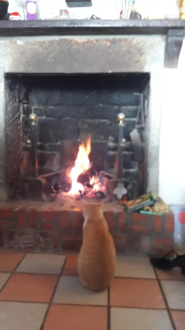 House With 3 Bedrooms in Serravalle Pistoiese, With Wonderful Mountain