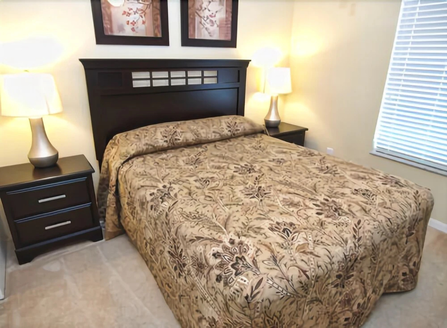 Platinum Collection - Royal Queen Palms