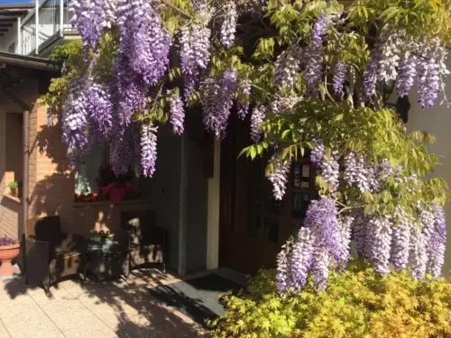 Hotel Ferro di Cavallo