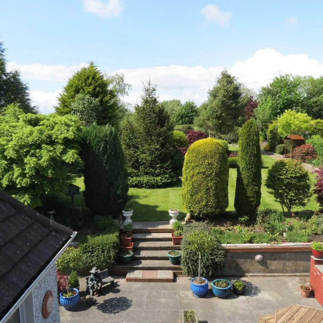 Rosewood Bed & Breakfast