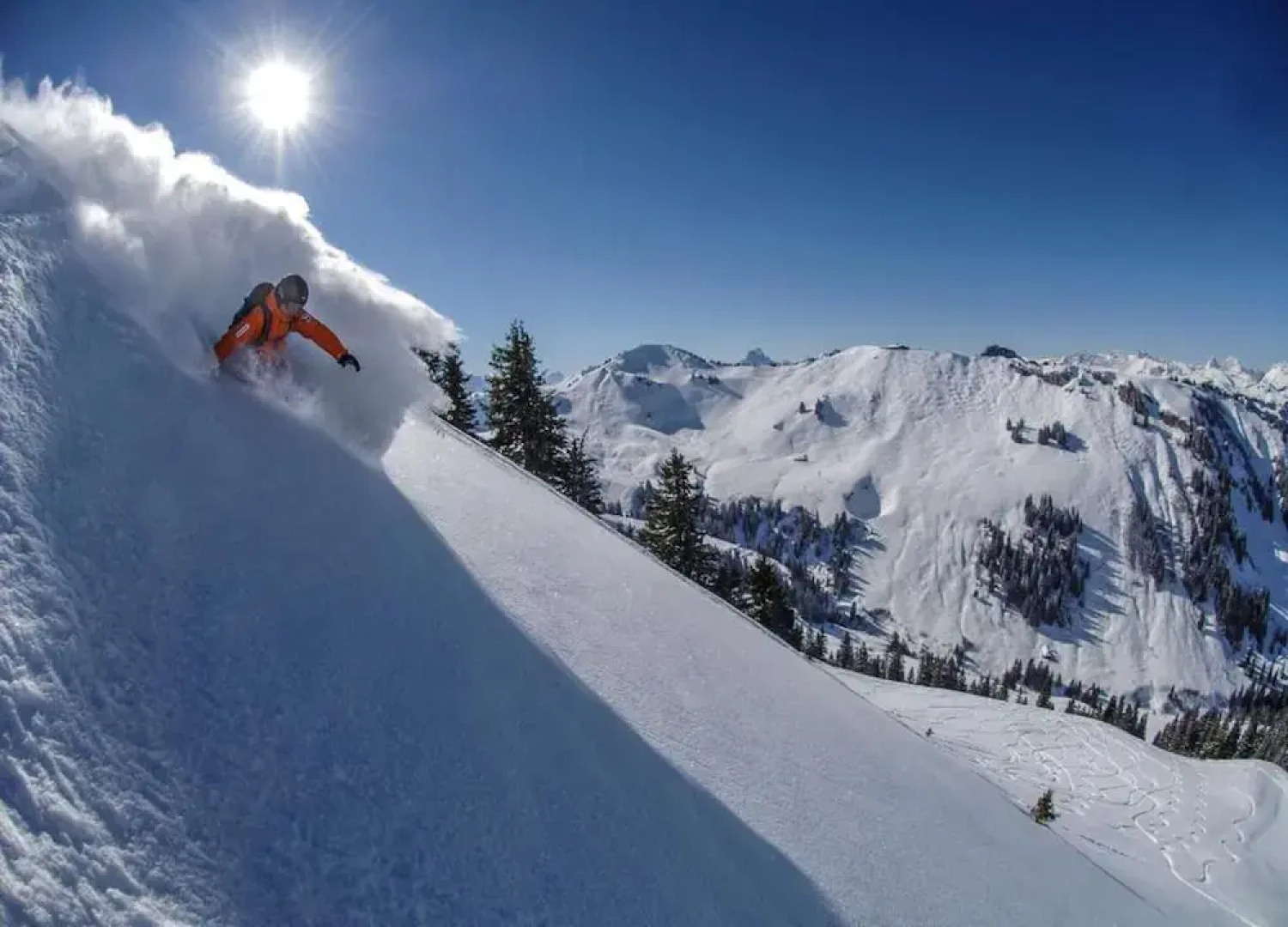 Contemporary Swiss Escape