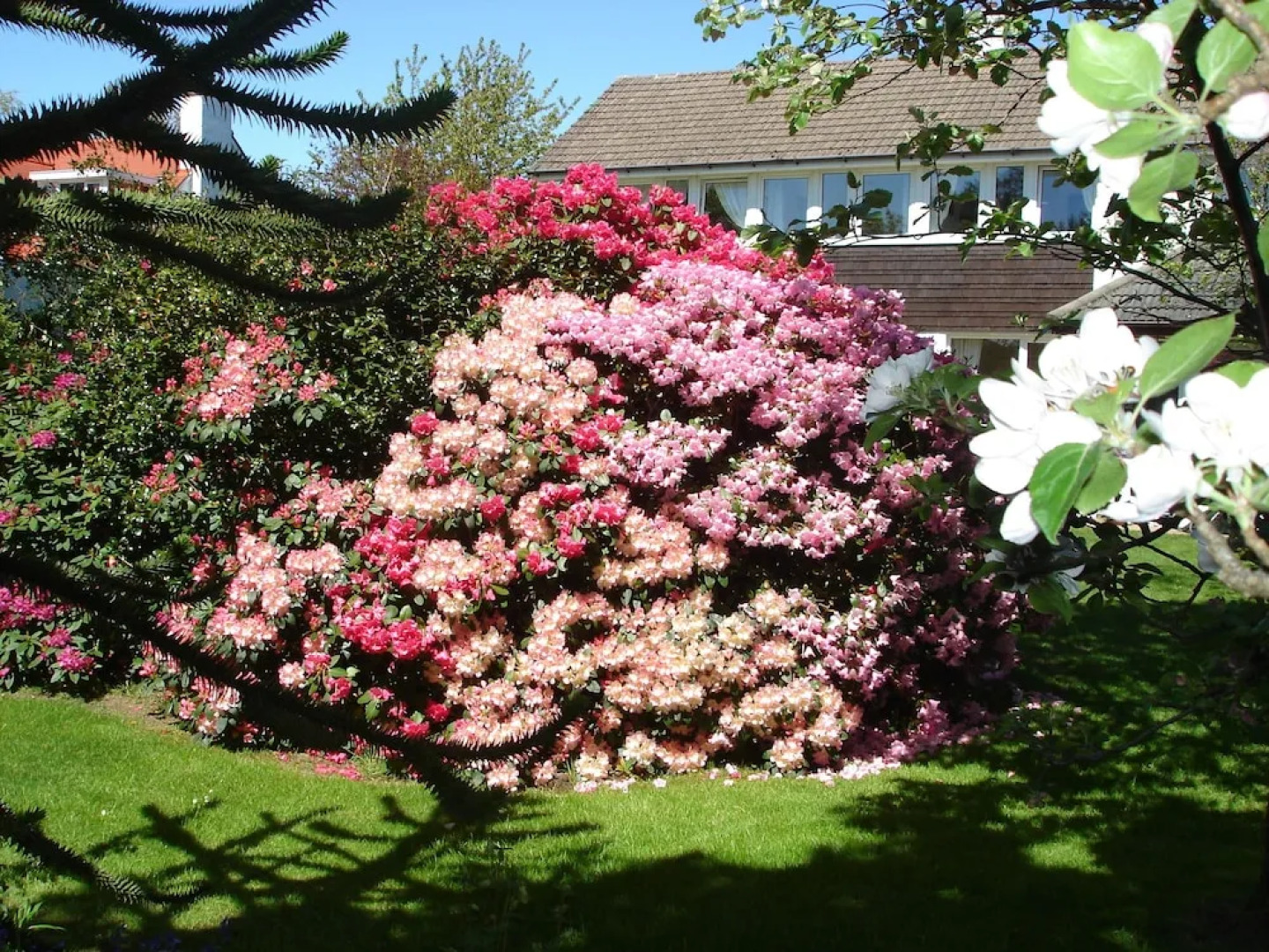 The Cherries Bed and Breakfast