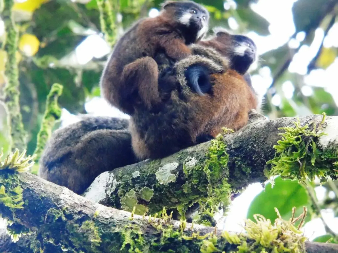 Posada Fin del Mundo