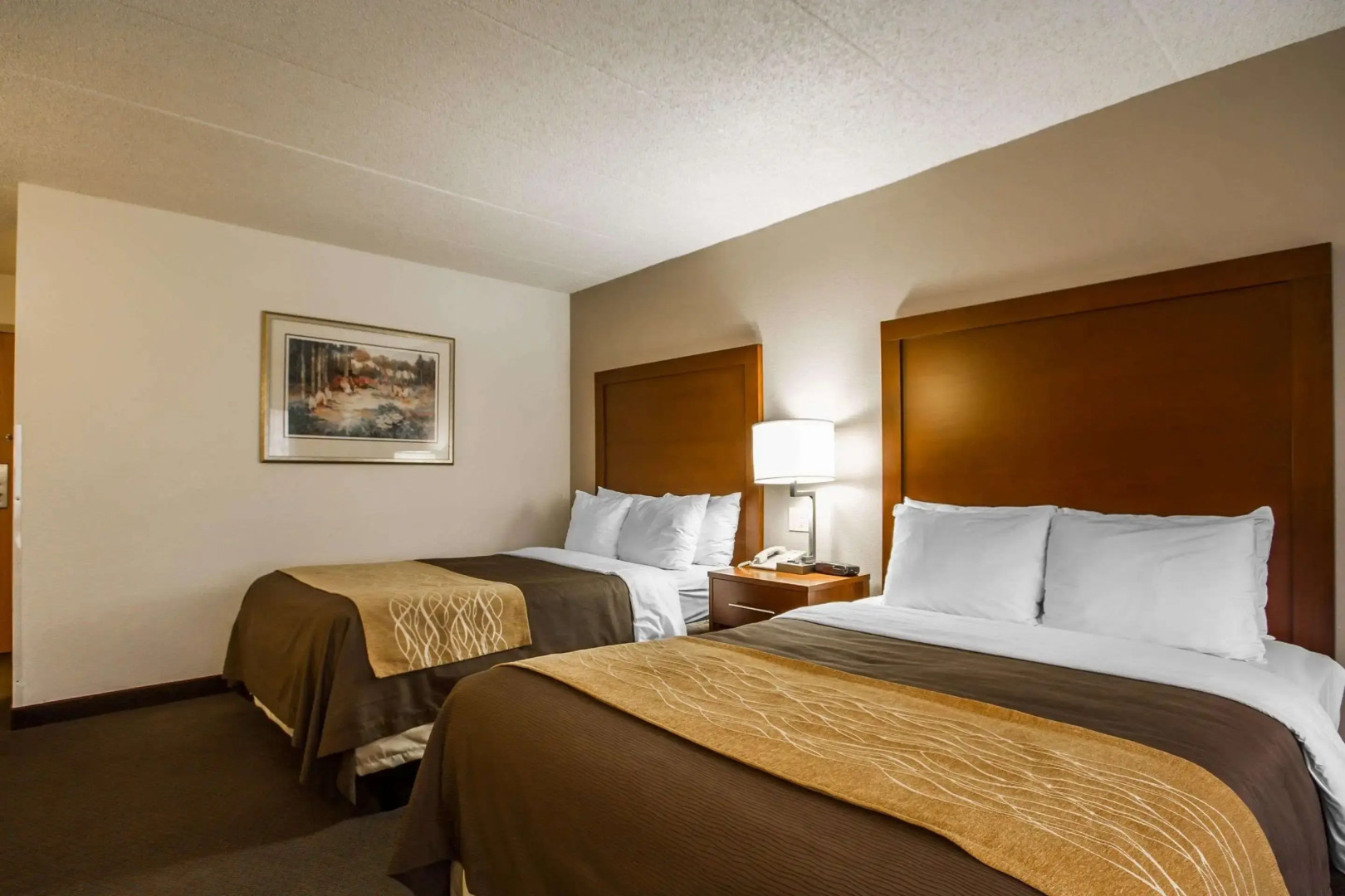 Comfort Inn & Suites Madison - Airport
