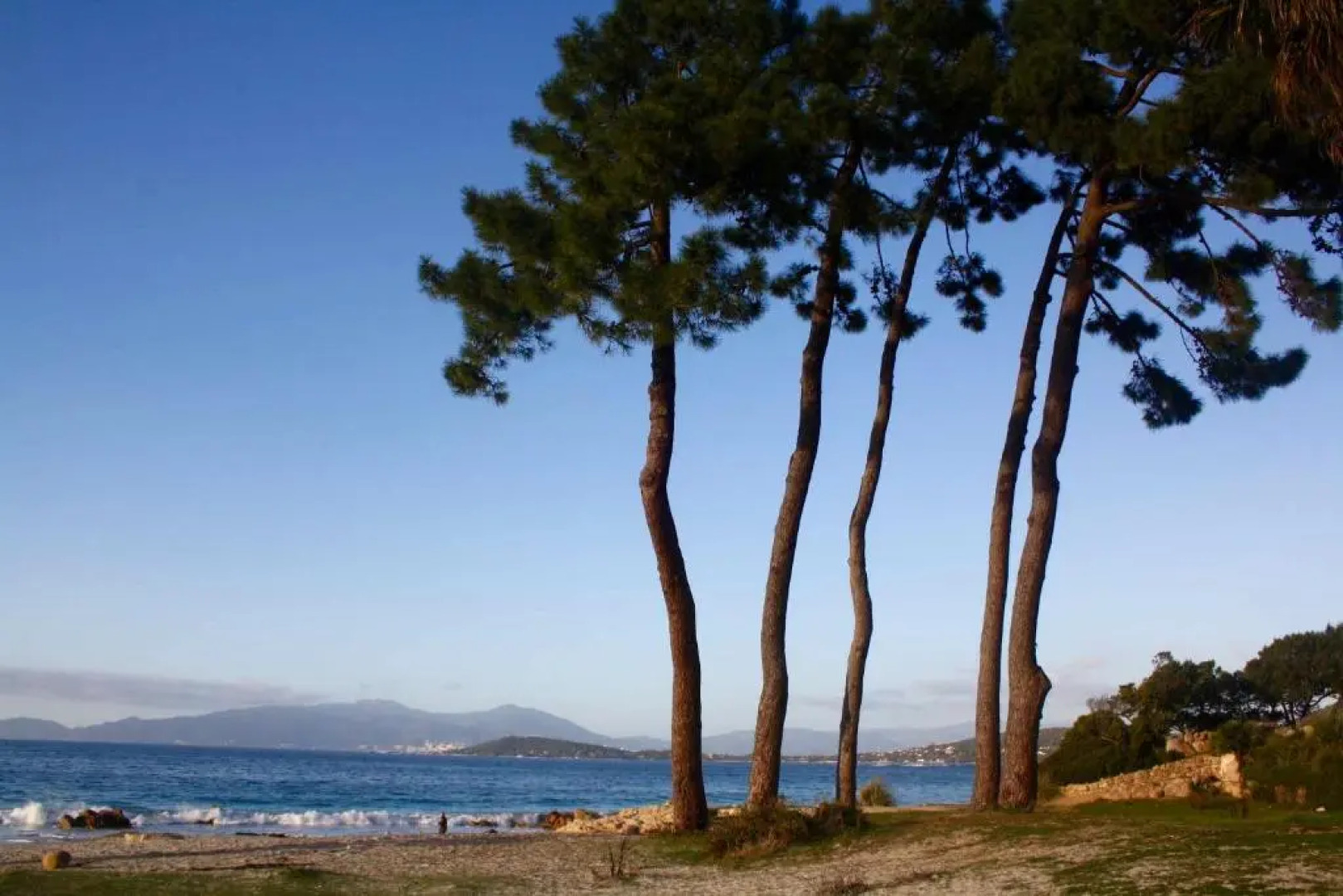 Résidence U Rapalinu