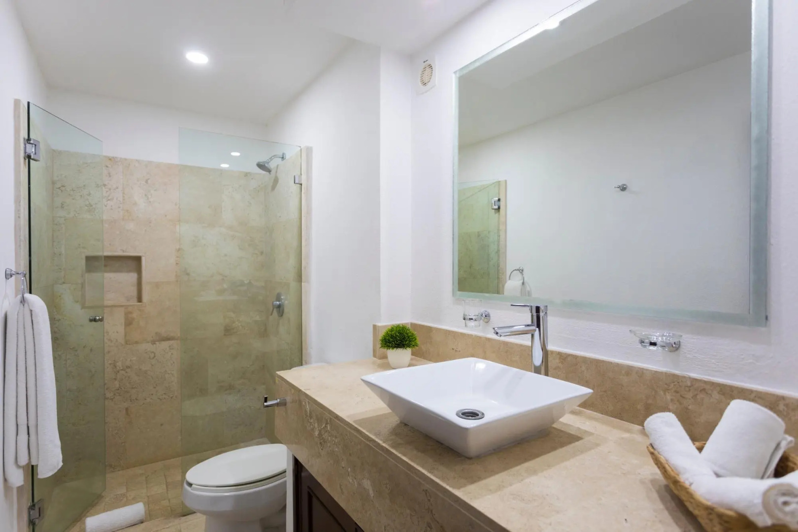 Flamingos Conchas 502