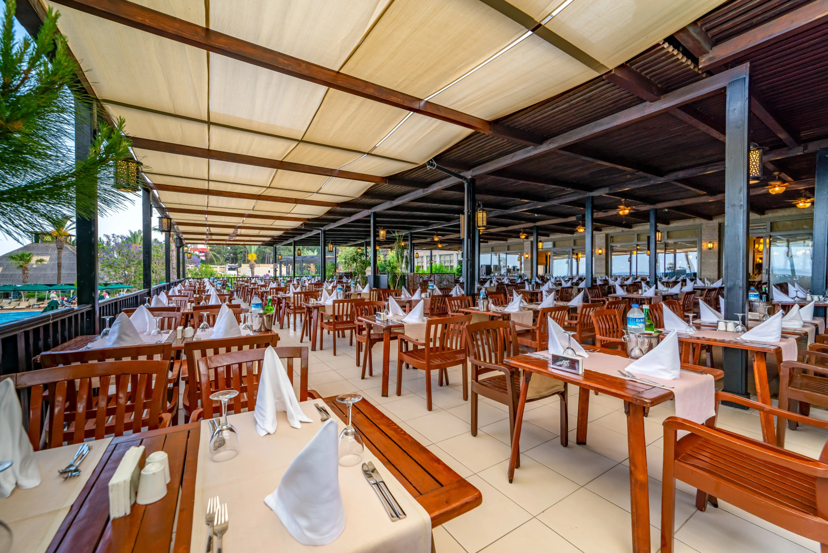 Gypsophila Club Marine