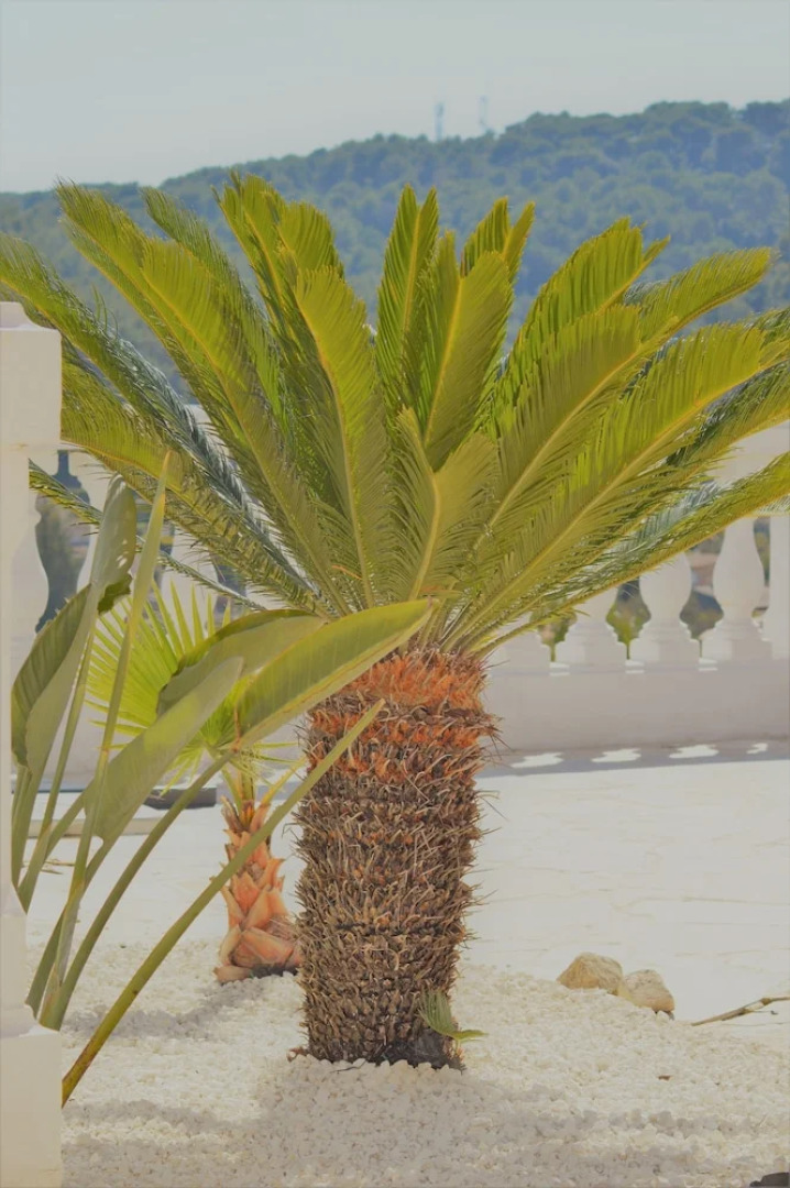 Villa La Terre Des Lauriers Appartement