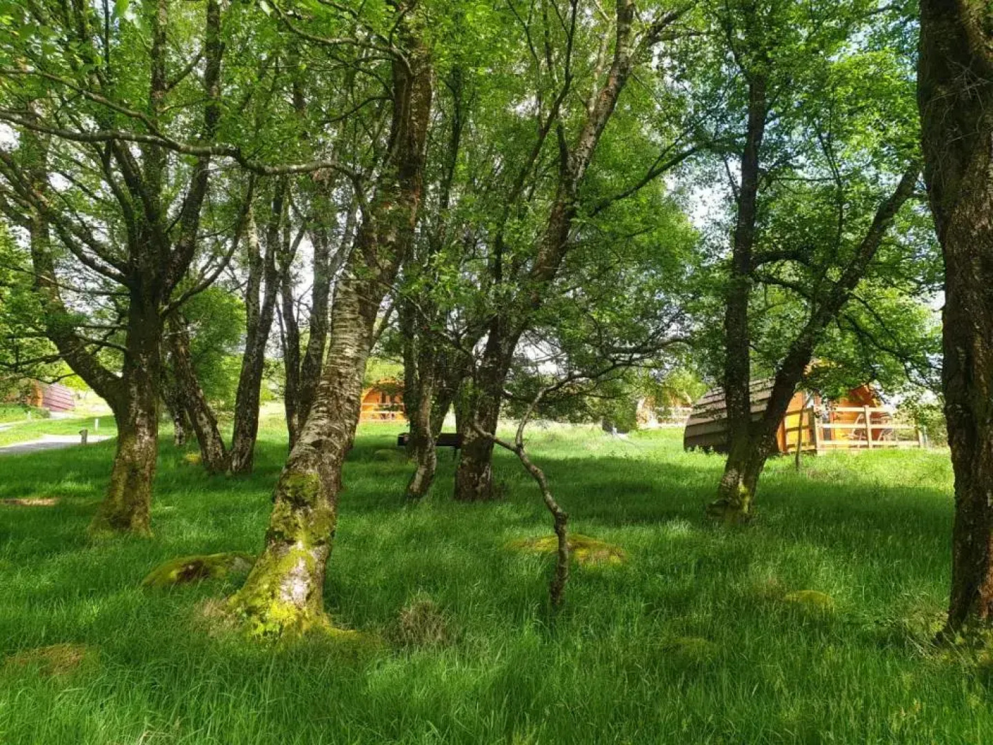 Glendalough Glamping - Adults Only