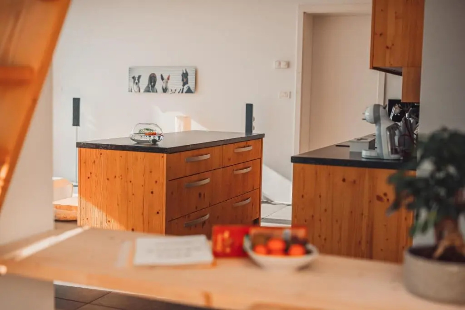 ECO Boutique Hotel AMS Beagle