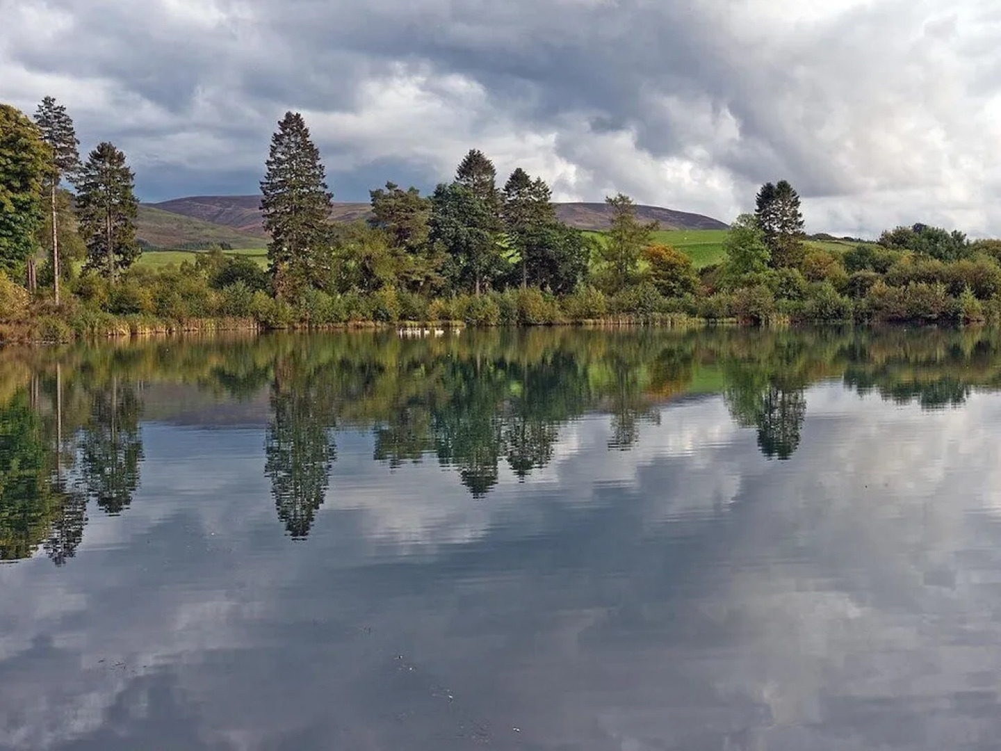 Moffat Manor Holiday Resort