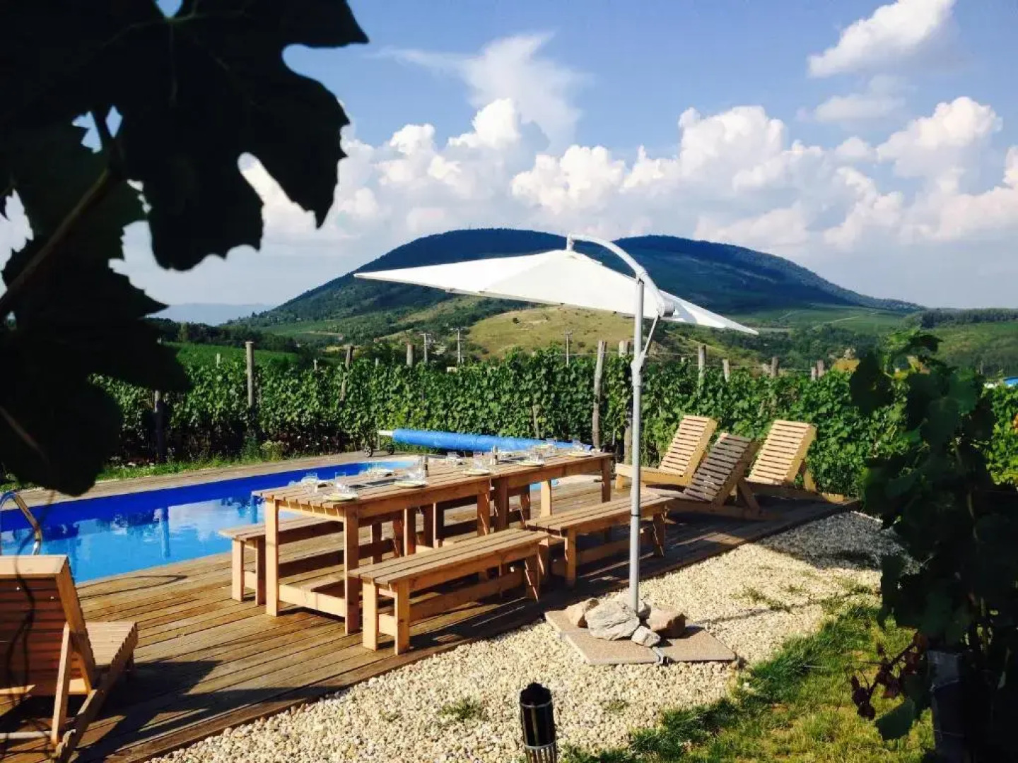 Almagyar Érseki Szőlőbirtok (AÉS)