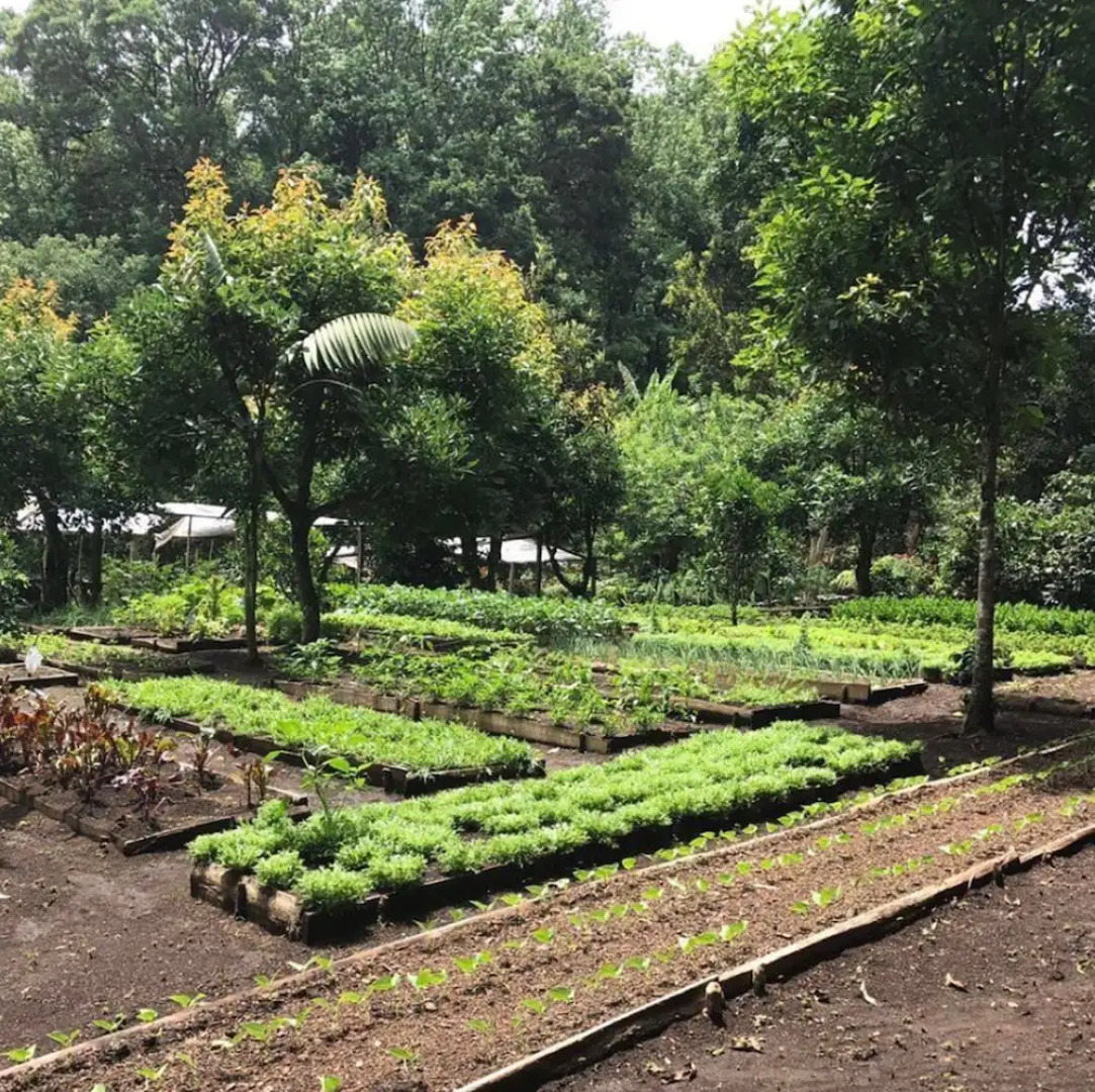 Hotel Boutique Y Restaurante Panisté