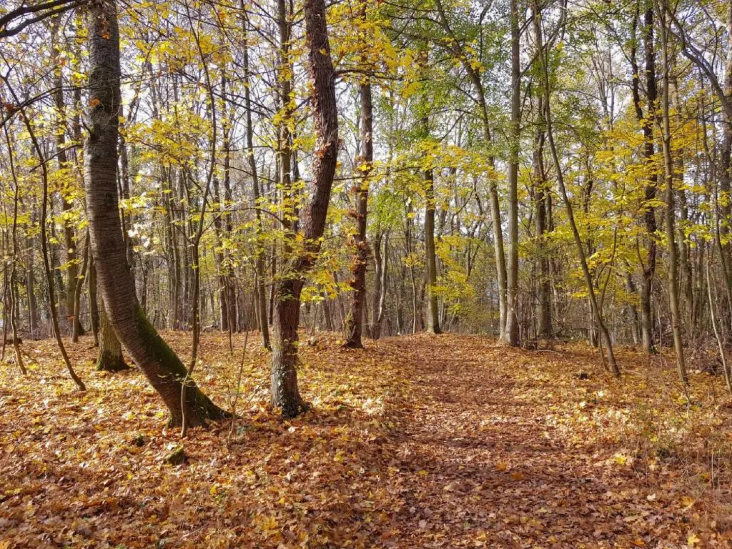 Gemütliche Ferienwohnung am Ortsrand