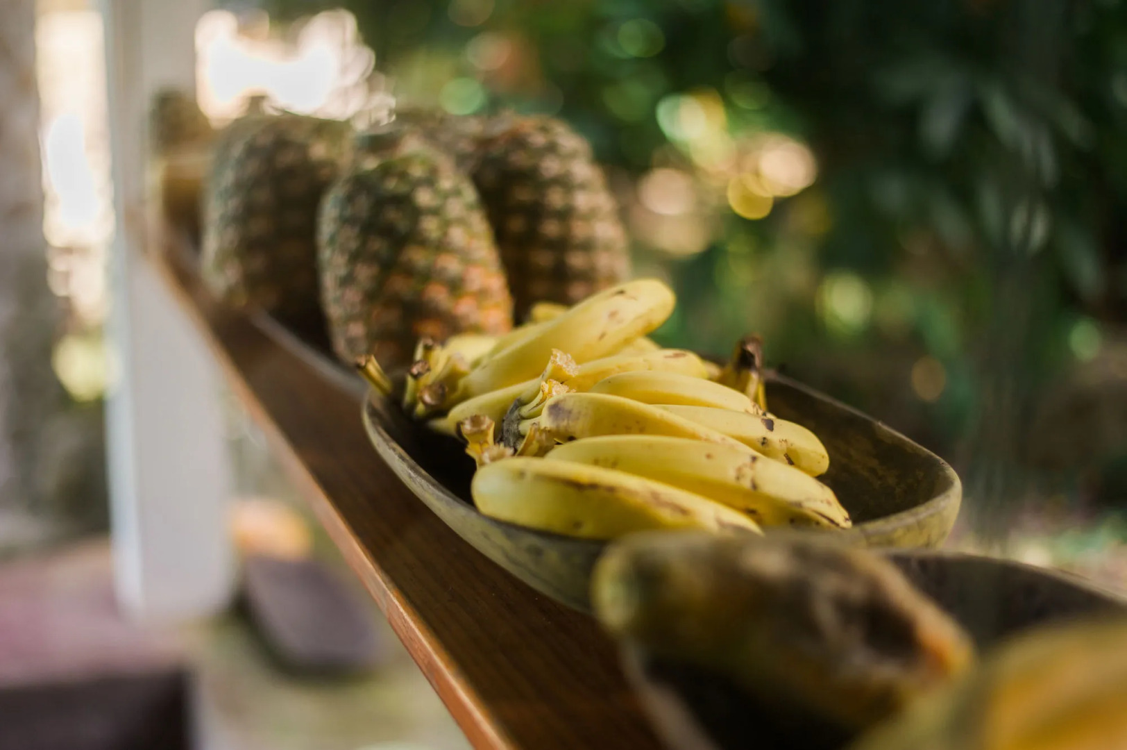 Omega Tours Adventure Company & Eco Jungle Lodge