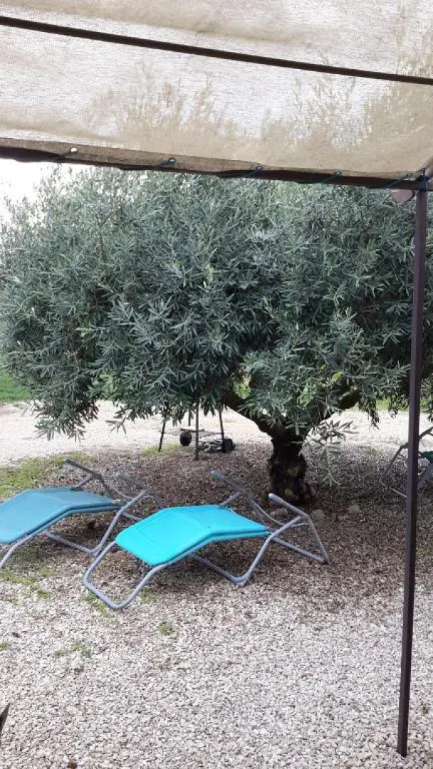 Chambres d'hôtes Le Vignoble