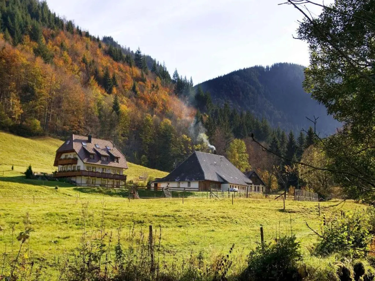 Gasthaus zur Linde-Napf