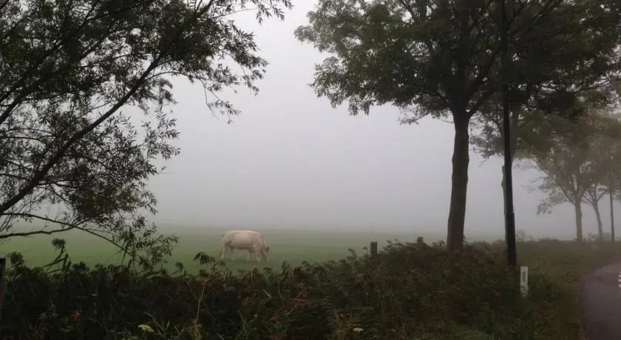 Bed and Breakfast Radijsje