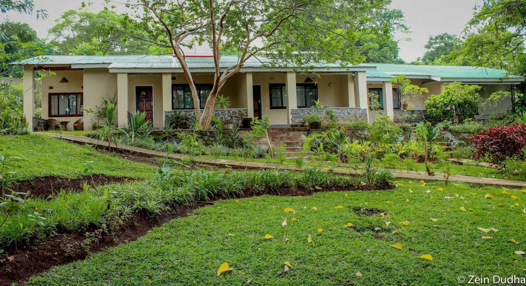 Villa 33