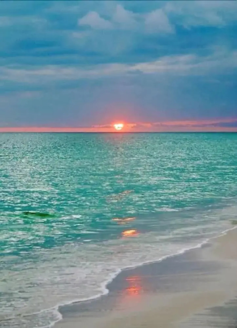 Lovely Little Studio With Pool, Hallandale Beach:)