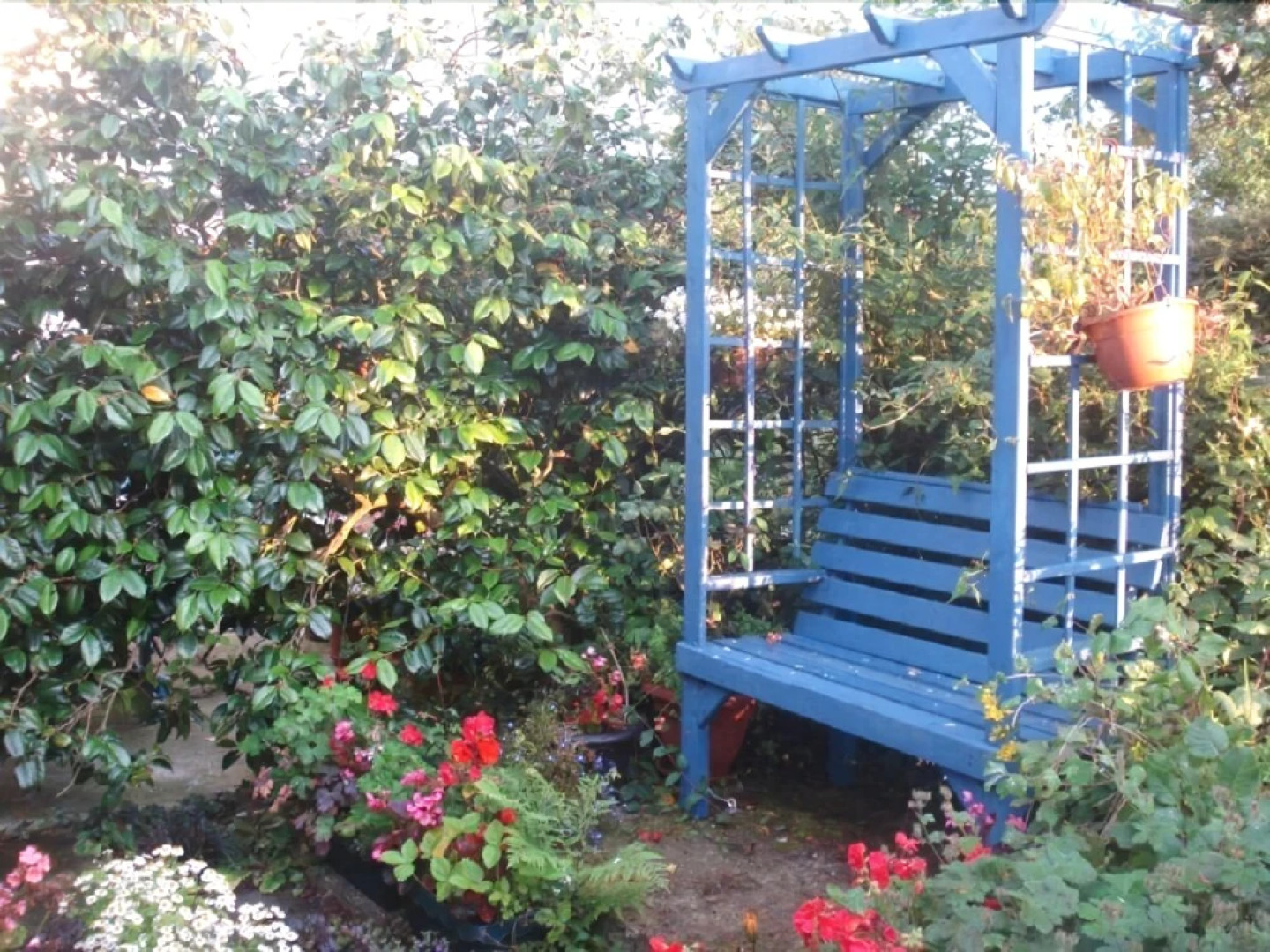 Black Lion Bed & Breakfast