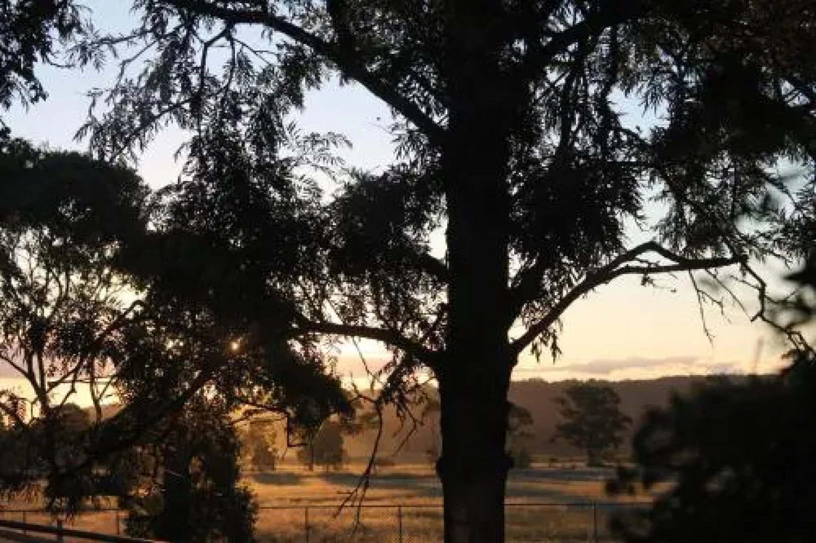 Rose City Caravan Park