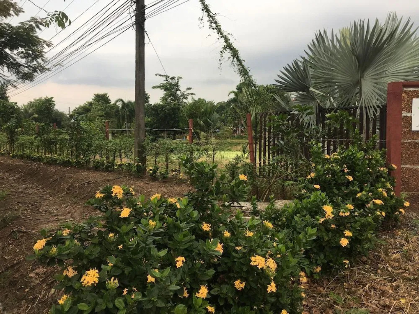 Baan Suan View Dee Homestay