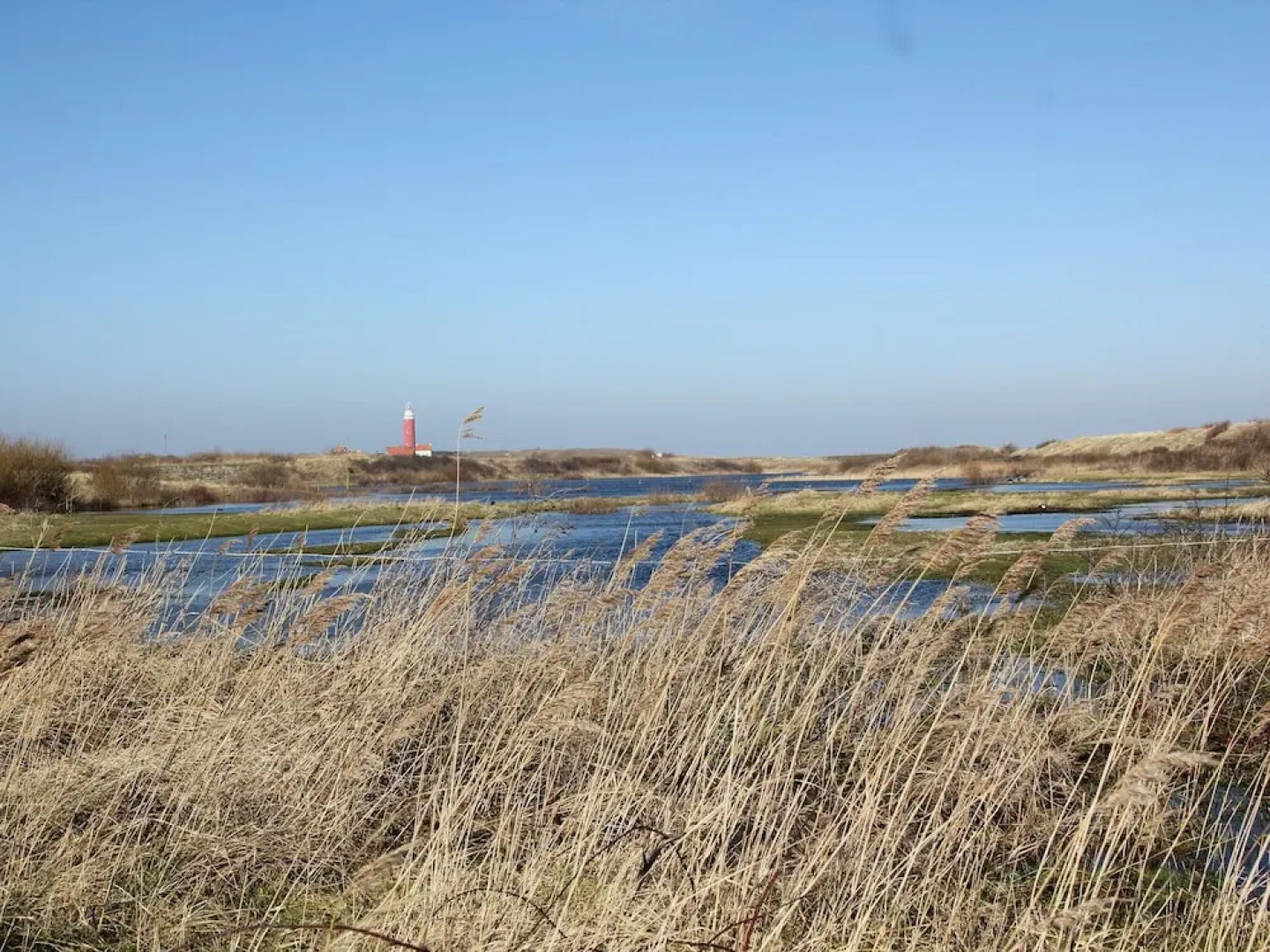 Bungalow in Texel Near National Park Dunes