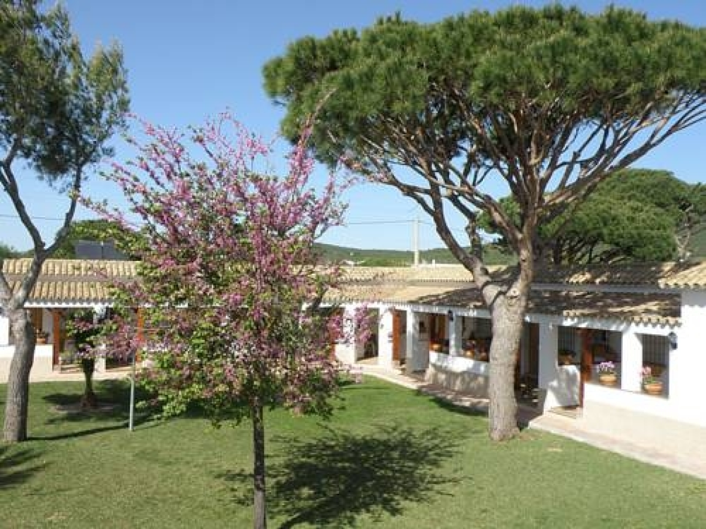 Hostal Restaurante Las Acacias