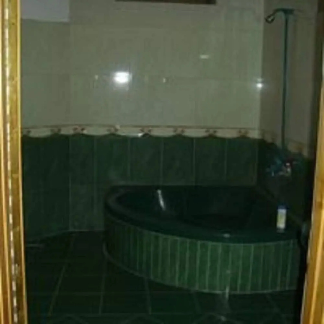 Hotel Luxury Palace Naran