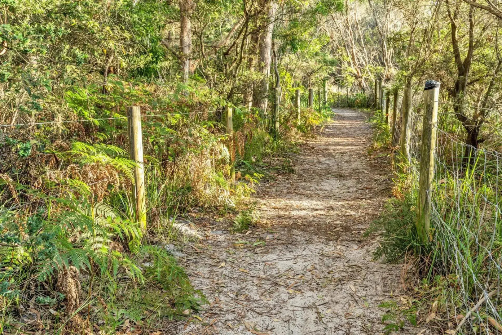 Sand Water at Hyams Beach 4pm Check Out Sundays