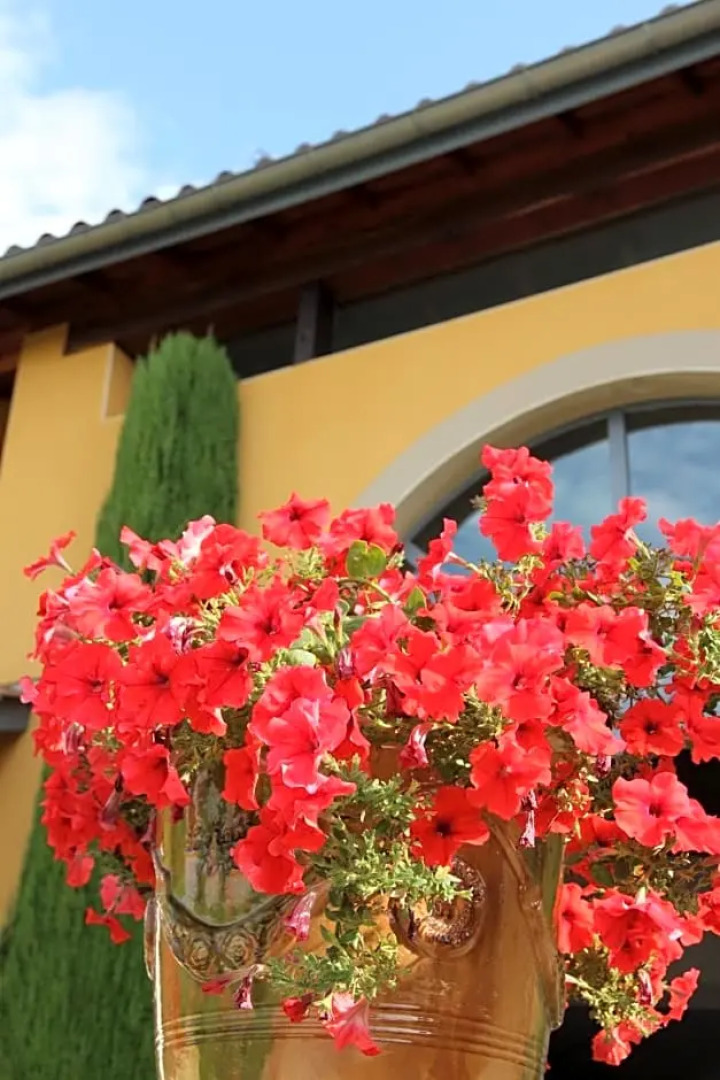 Le Vallon de Saint André