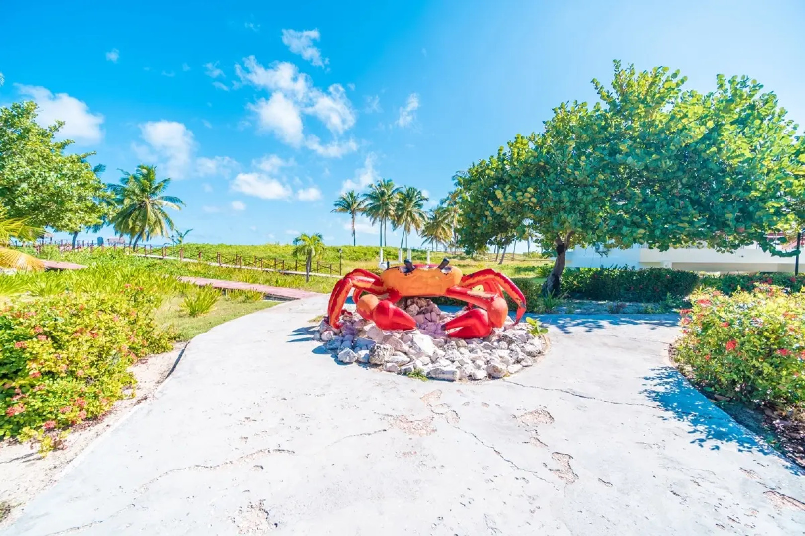 Resonance Blu Santa Maria