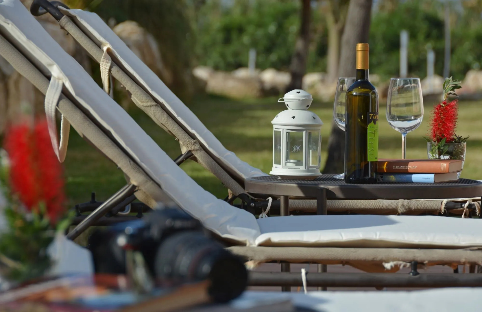 Tenute Plaia Agriturismo