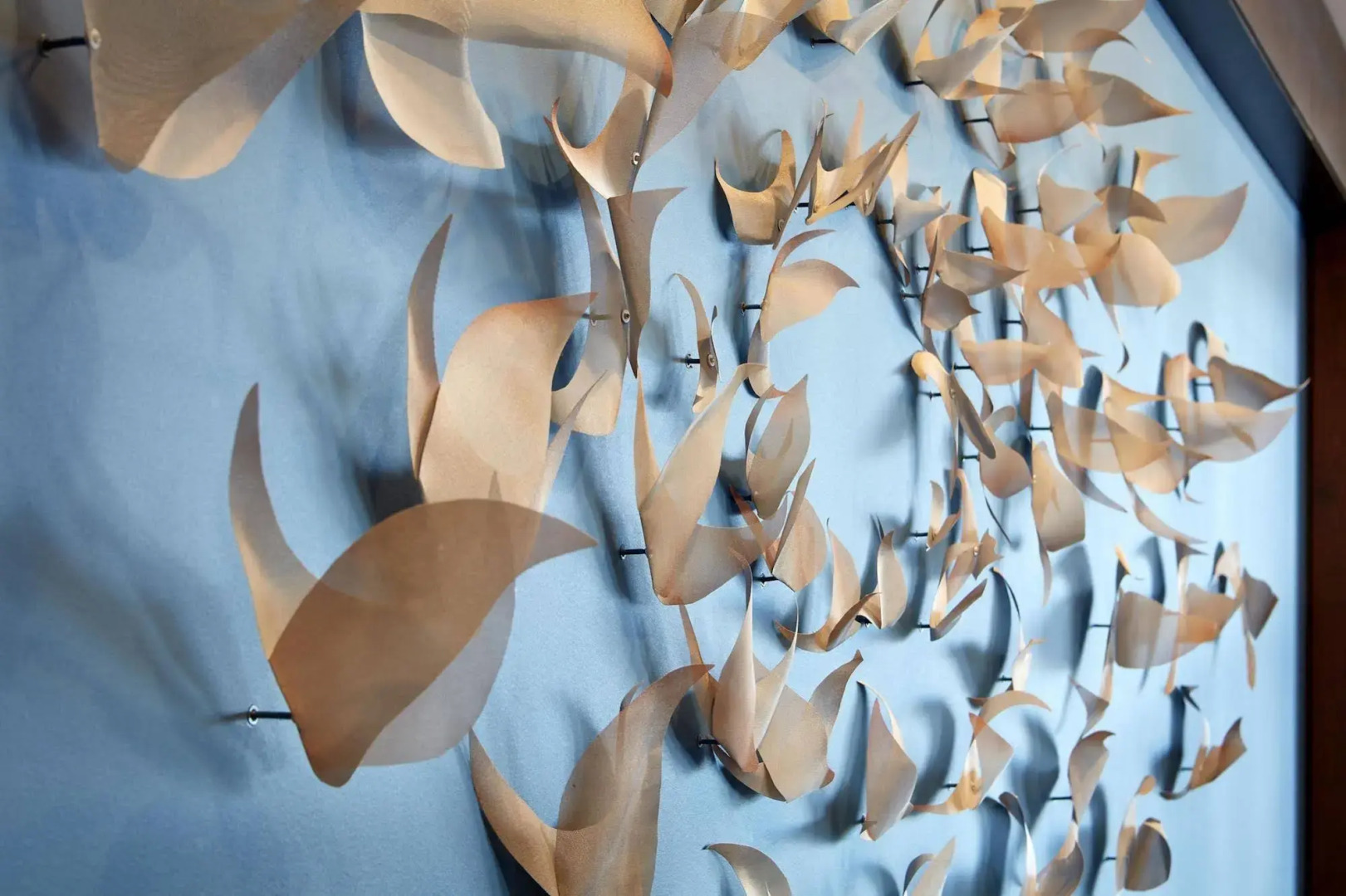 Homewood Suites by Hilton San Diego Hotel Circle/SeaWorld Area