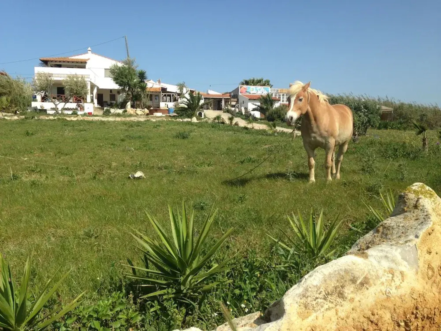 Da Silva Surfcamp - Hostel