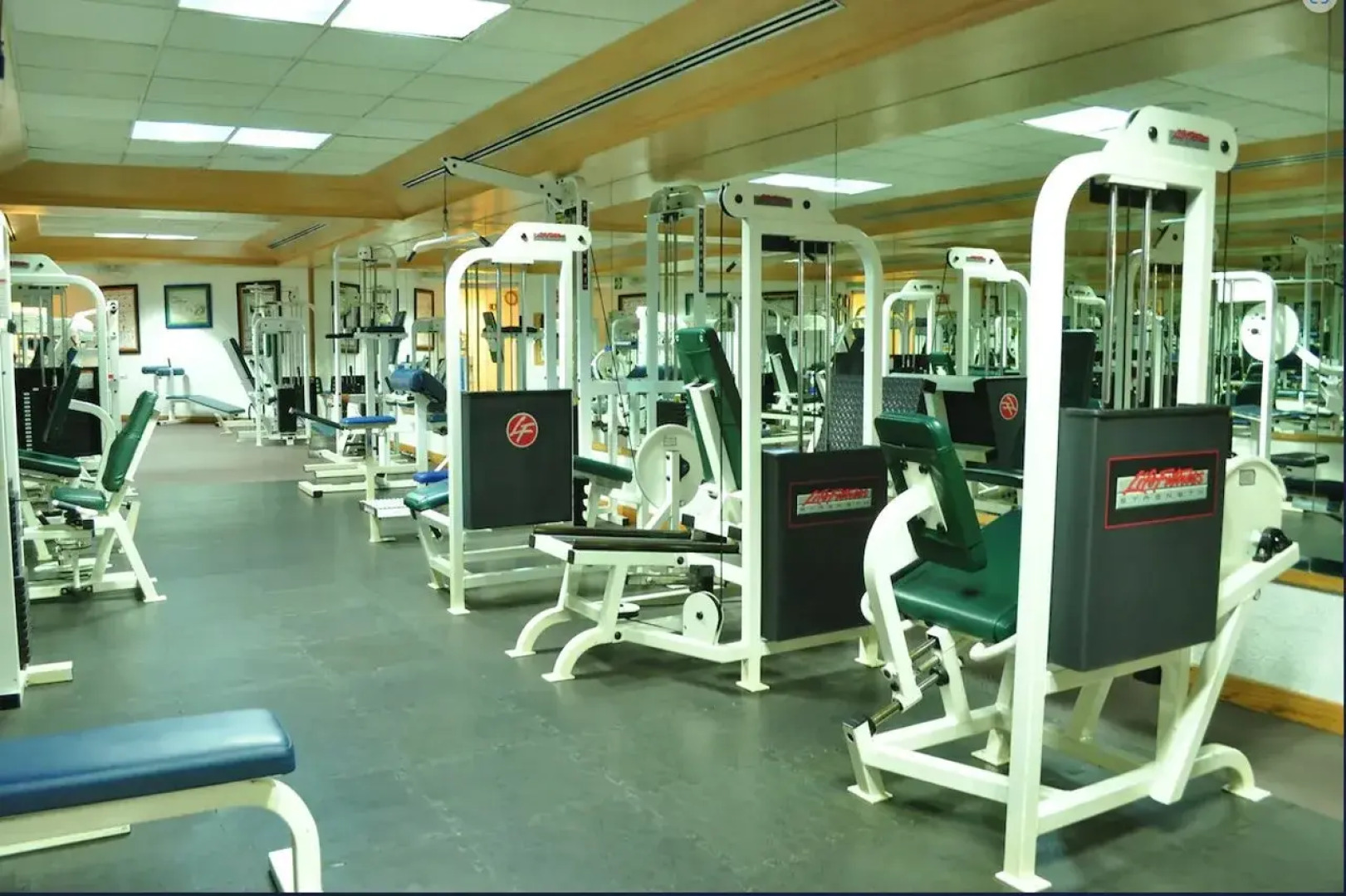 Royal Pedregal Hotel