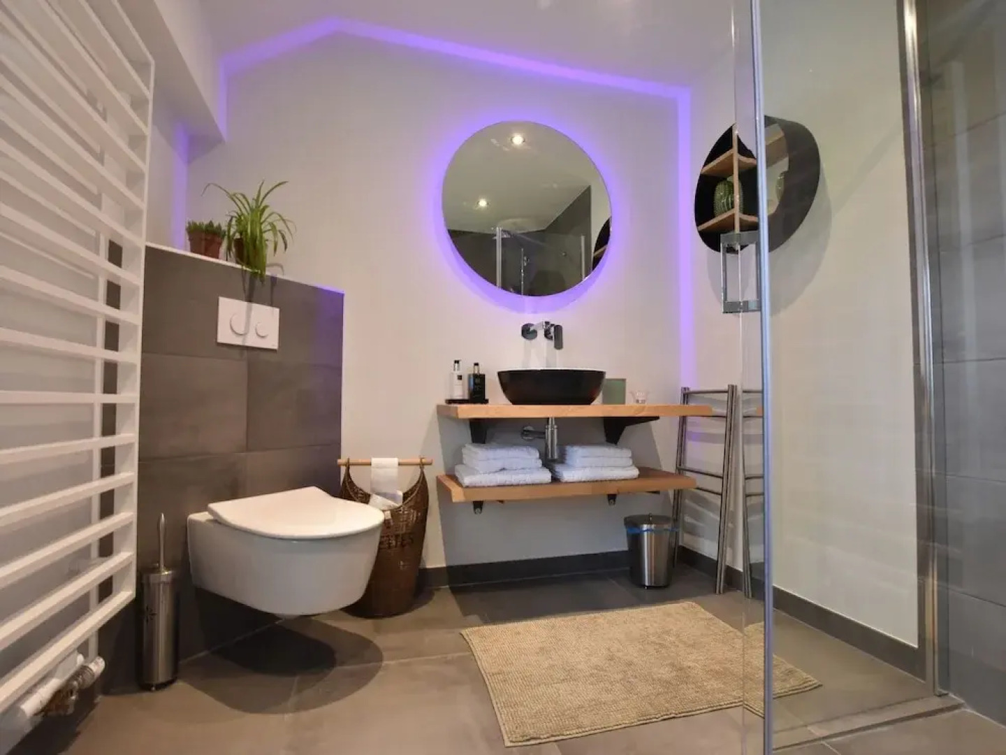 Villa in Ommen With Private Pond