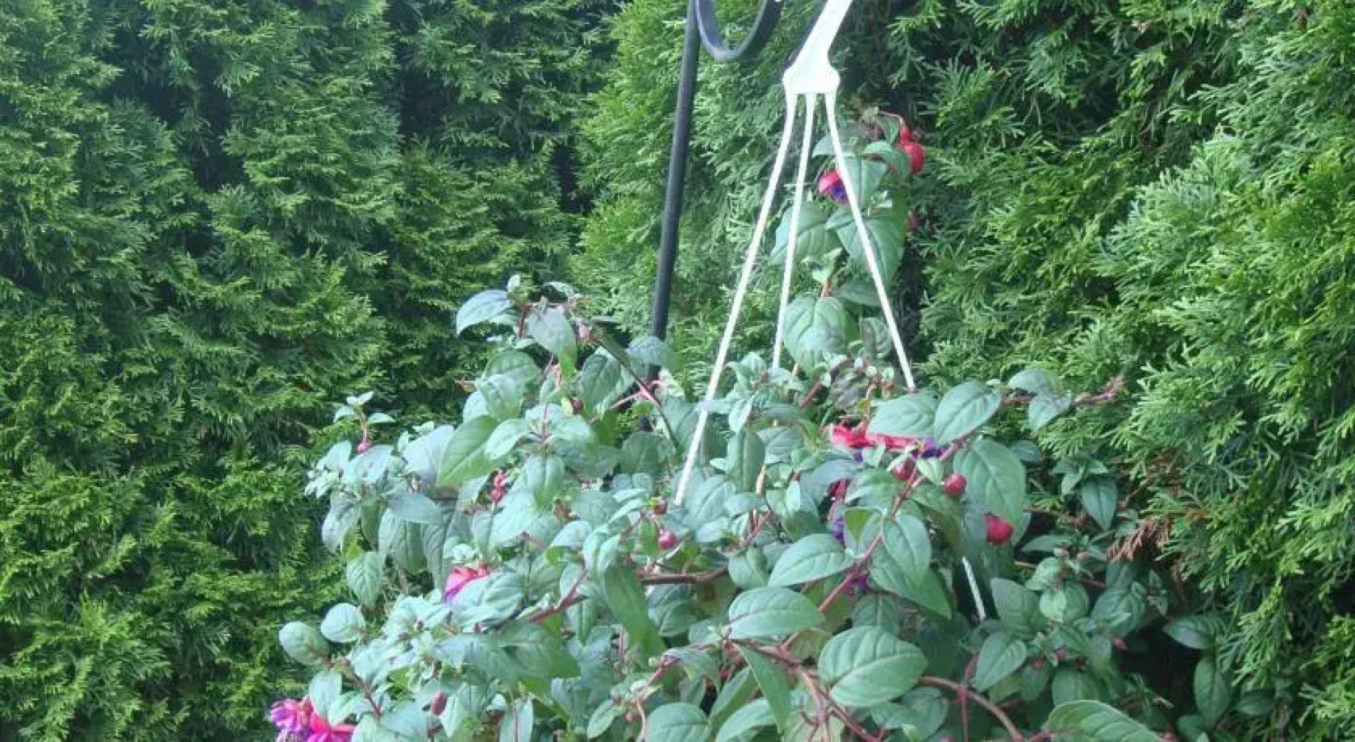 Haus Schäfer St. Georgen