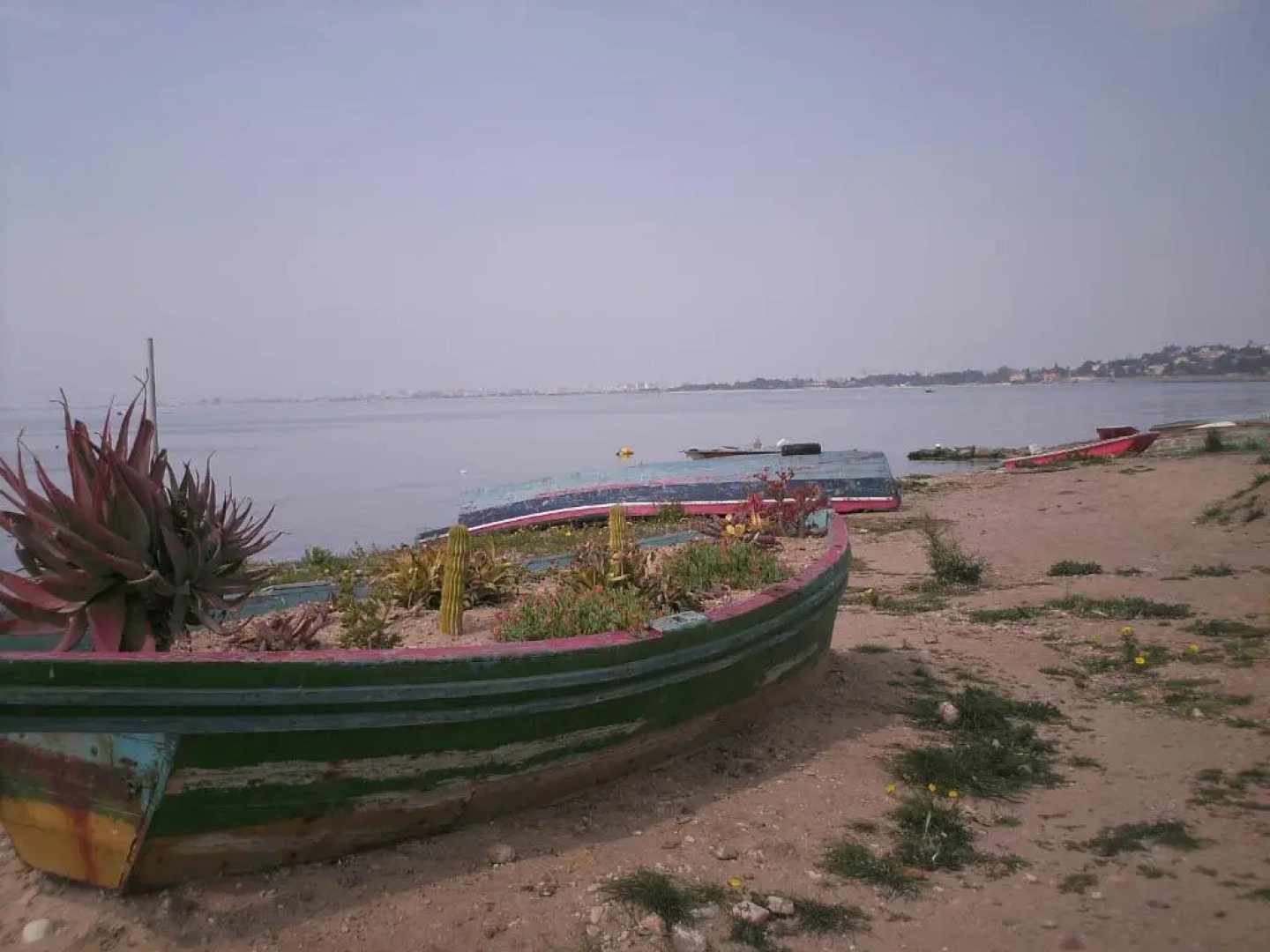 Appartamenti Sant'Andrea